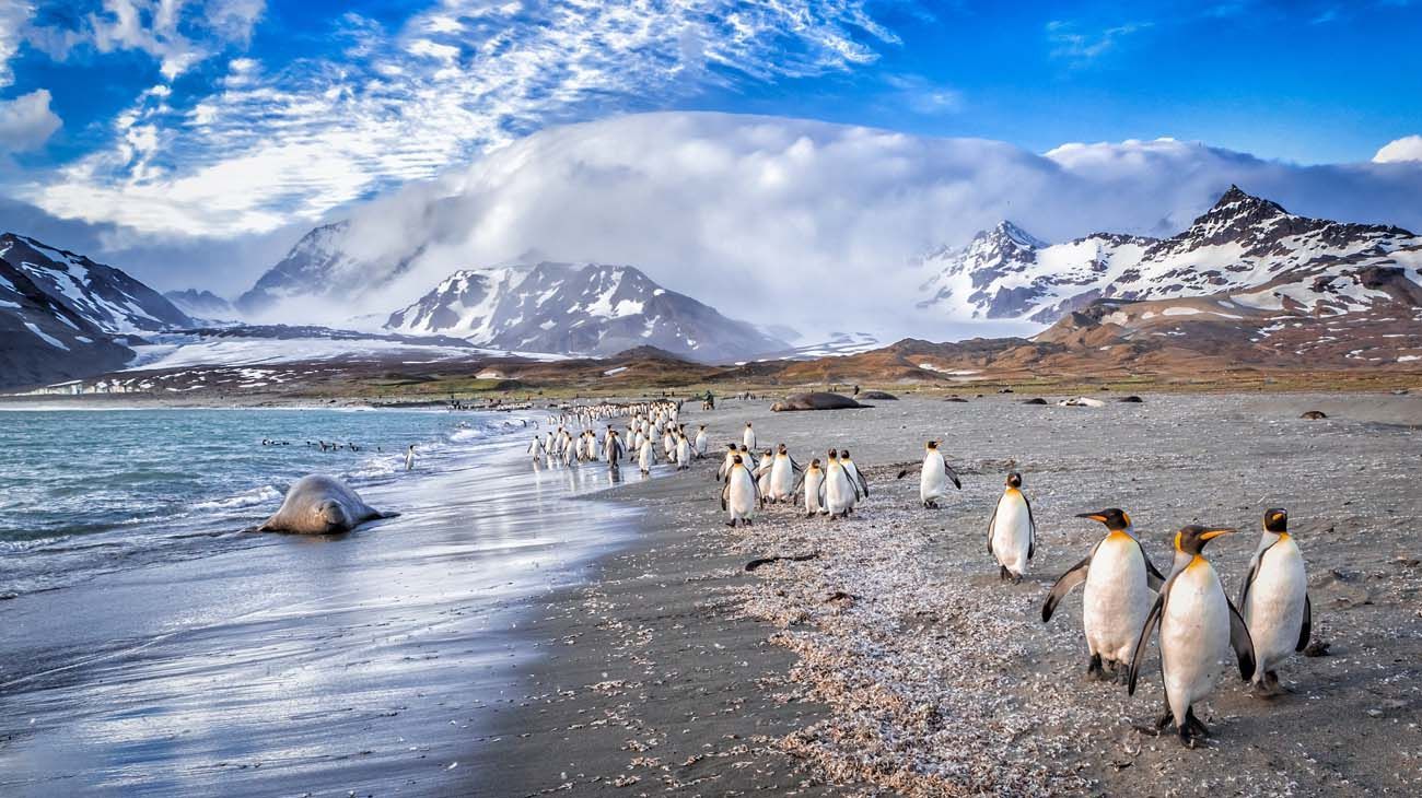 La cuestión Malvinas sigue esperando