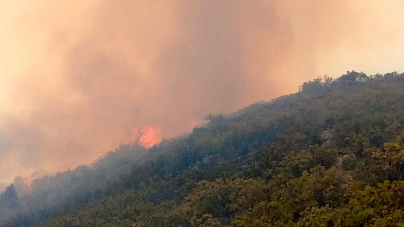 Continúan los incendios forestales en Chubut