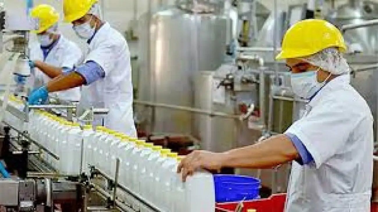 Cuál es la actualidad de la industria láctea
