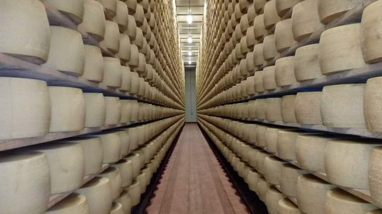 Italia: hombre murió aplastado por más de 15 mil ruedas de queso