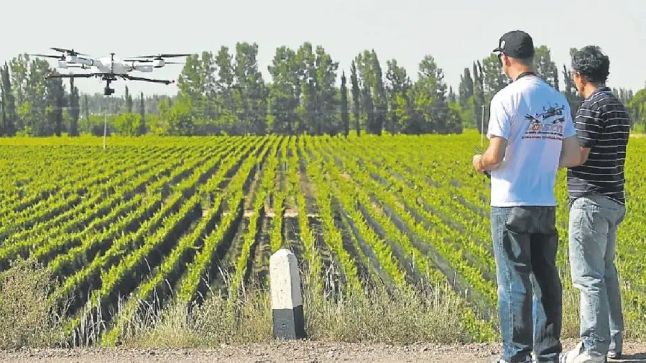 Innovación en el campo: desde el INTA evalúan la posibilidad de implementar la siembra aérea con drones