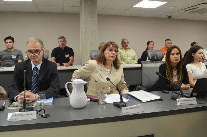 Controversia no es confusión: el desafío de cronicar un juicio de trascendencia histórica