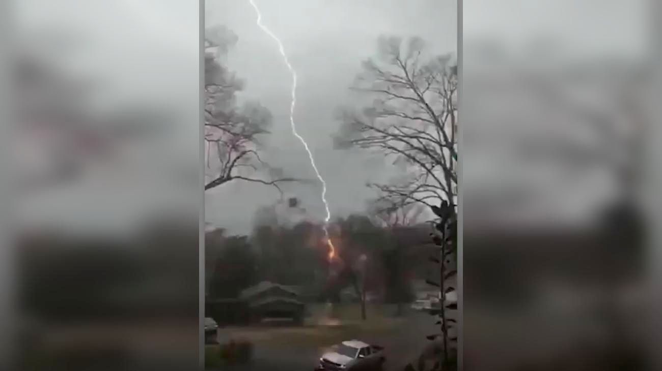 Video: el momento exacto en que un relámpago parte en dos un árbol
