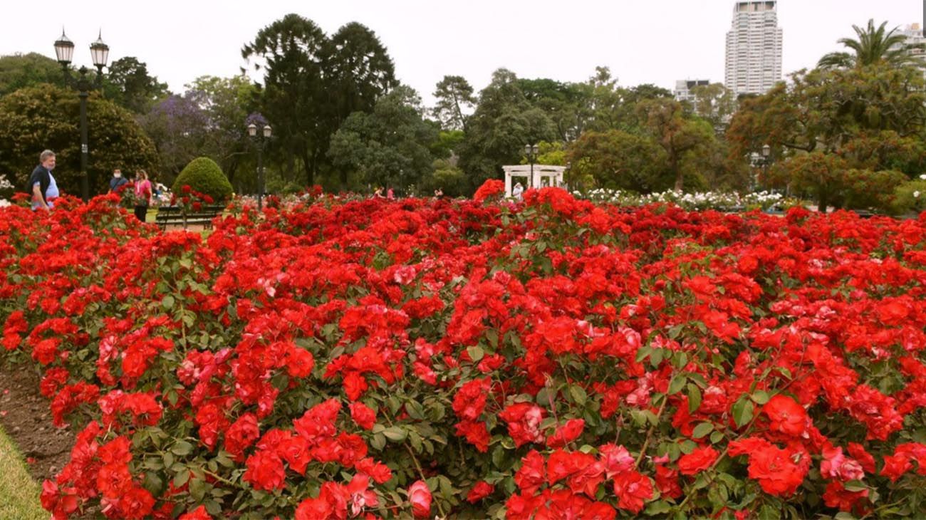 Palermo, cronología de un parque que fue de Juan Manuel de Rosas y hoy es de todos