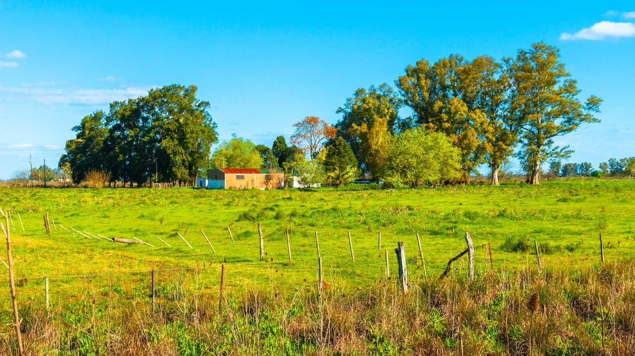 Derogación de Ley de Tierras: inversores extranjeros interesados en los campos argentinos