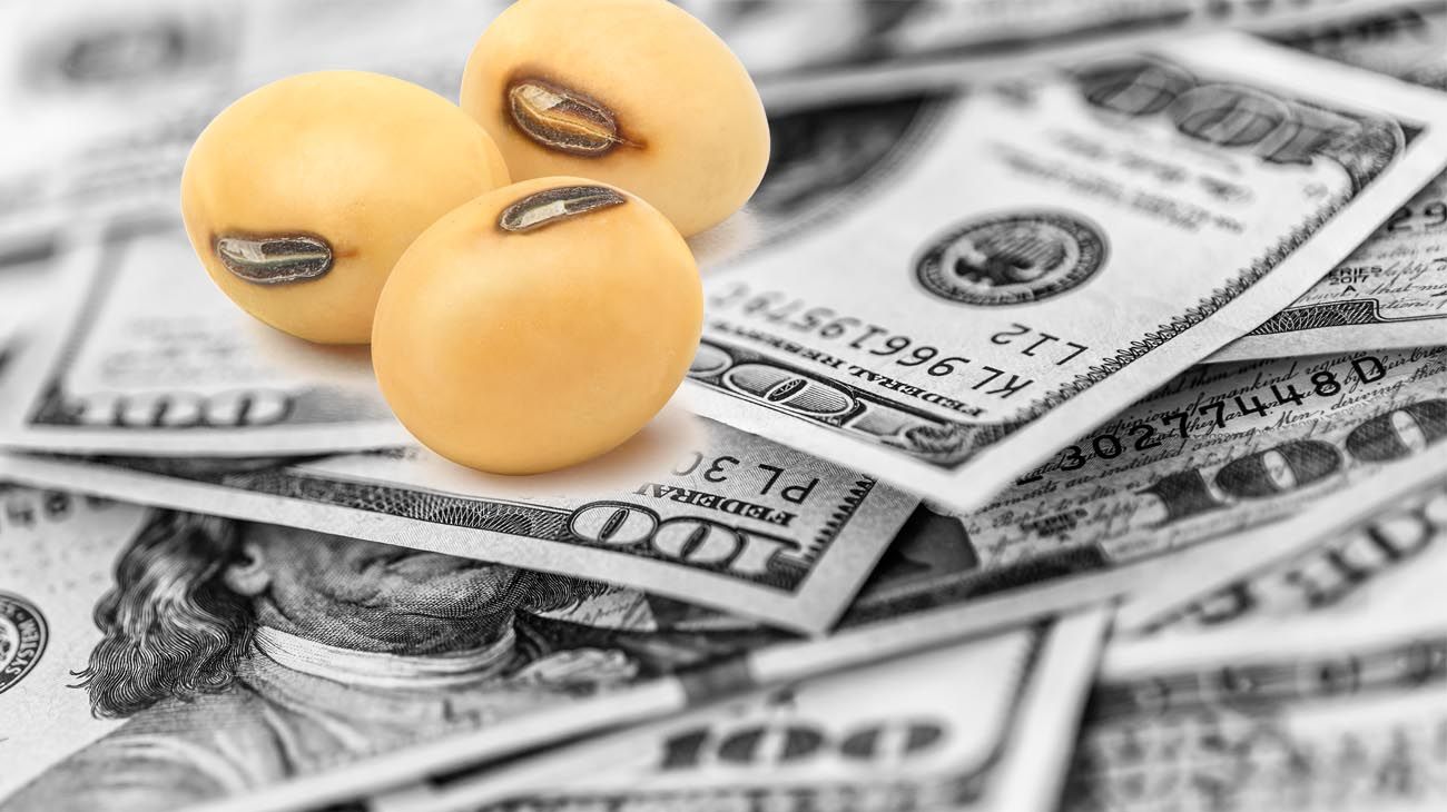El campo liquidó US$ 1.600 millones en los primeros días del dólar soja 2