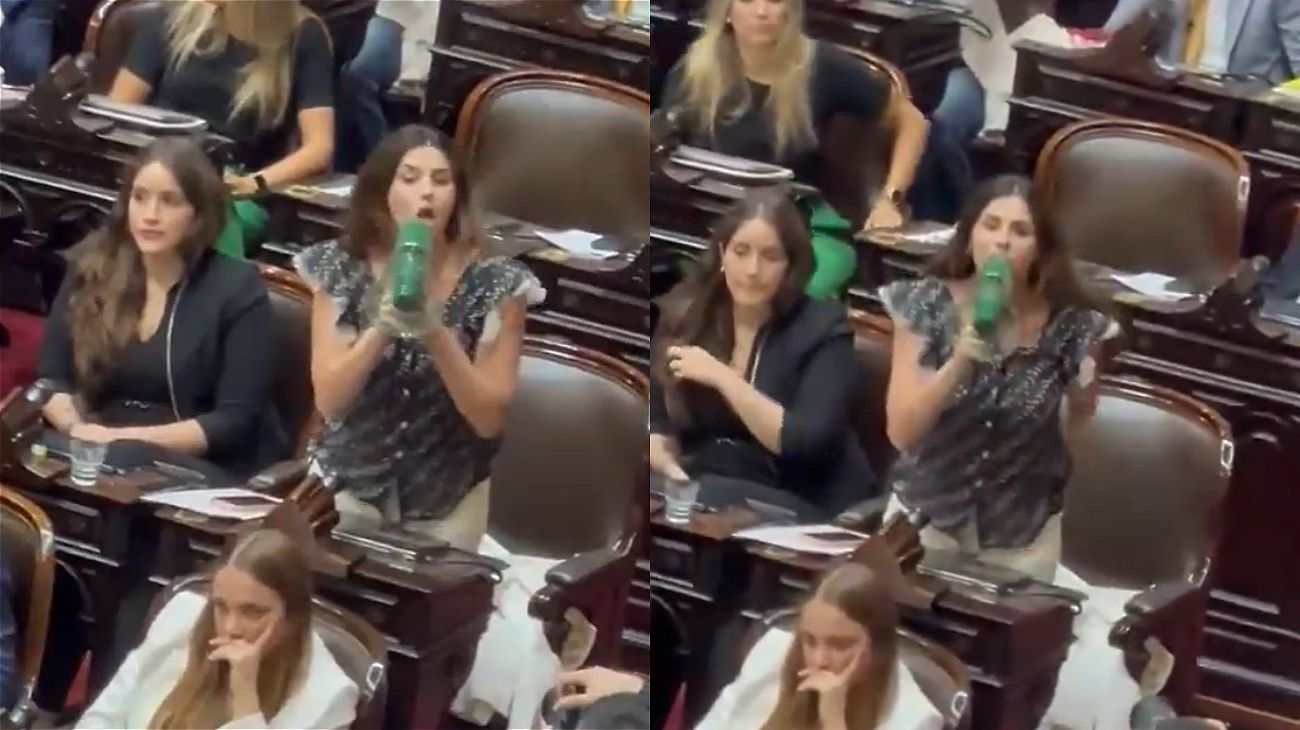 Marcela Pagano sacó un megáfono en plena sesión y tildó a Martín Menem de "fascista"