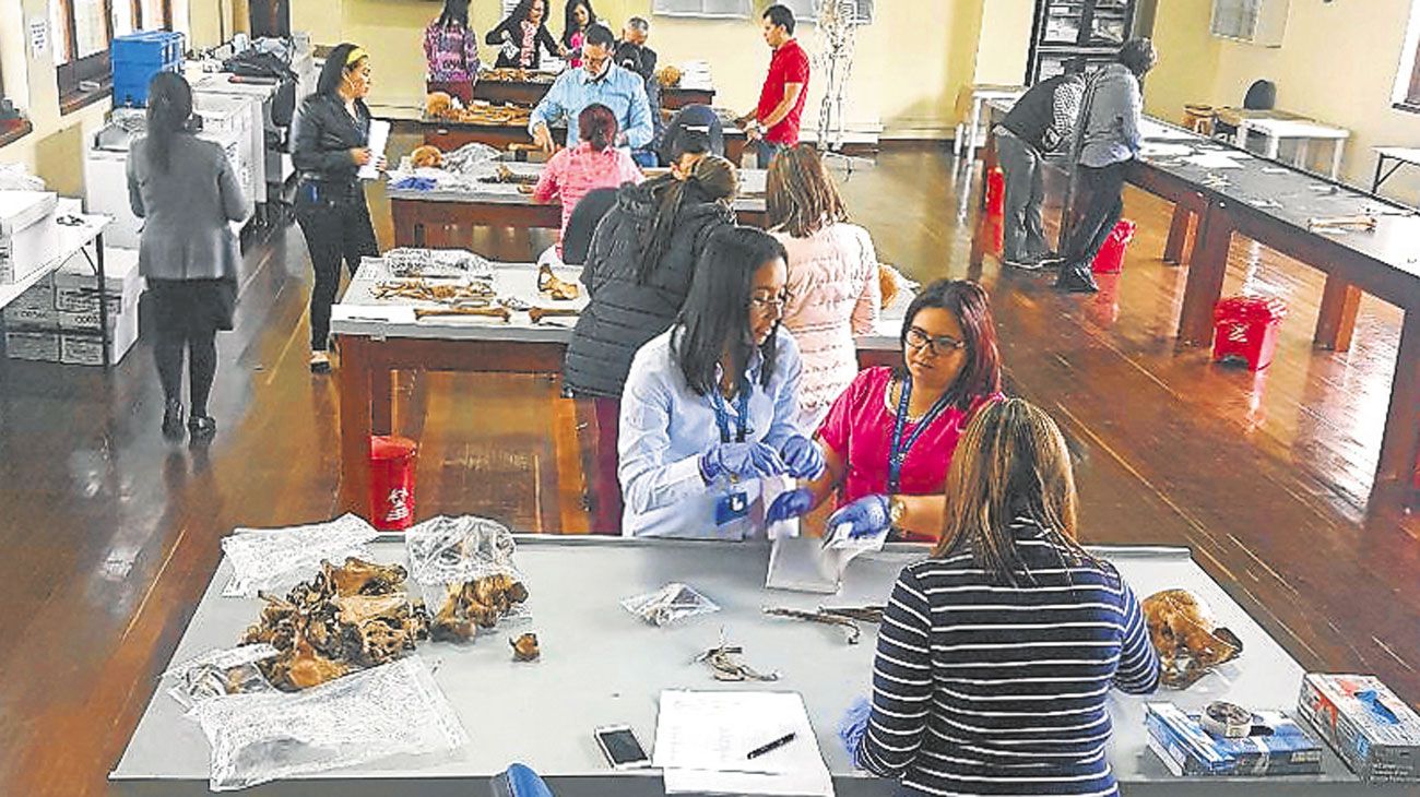 El trabajo de científicos argentinos para identificar desaparecidos en el mundo