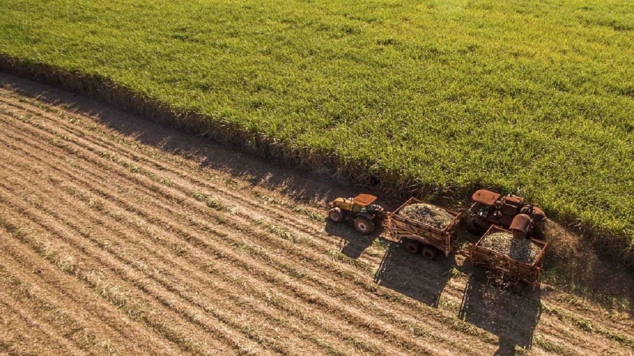 Aseguran que si el Gobierno baja las retenciones al agro, crecerá la recaudación