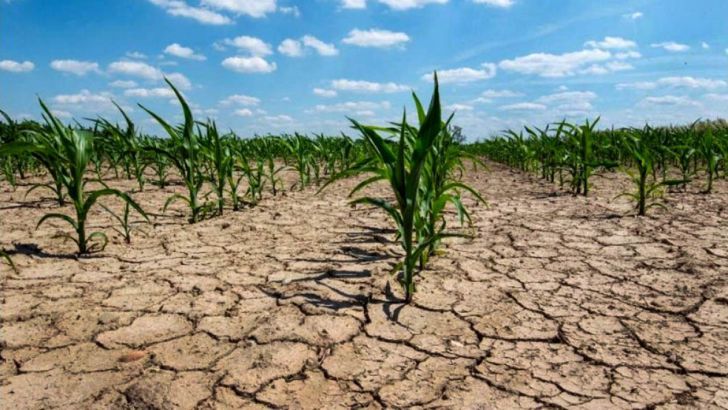 Escenario: por impacto de sequía analistas ven un 2023 de recesión