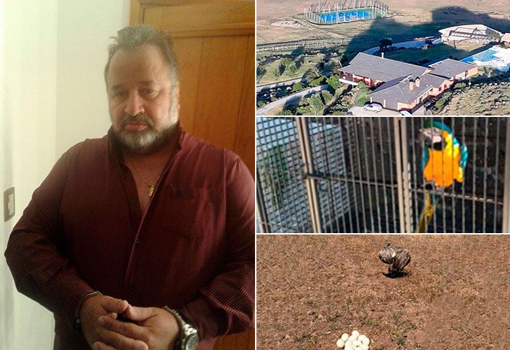 Como Pablo Escobar, Marcelo Balcedo tenía un zoológico ilegal en su mansión