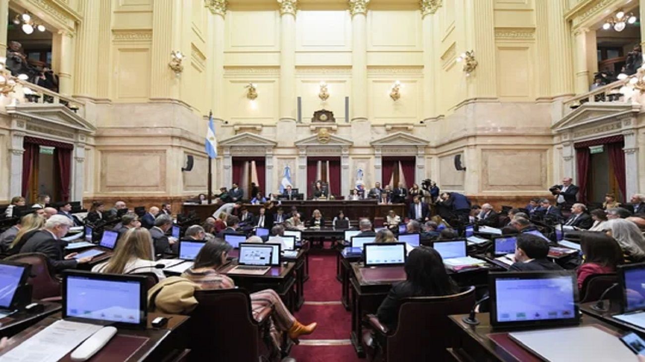 Rechazo a la Ley Bases: “Es una ley que pretende la entrega, el saqueo y la sumisión total”