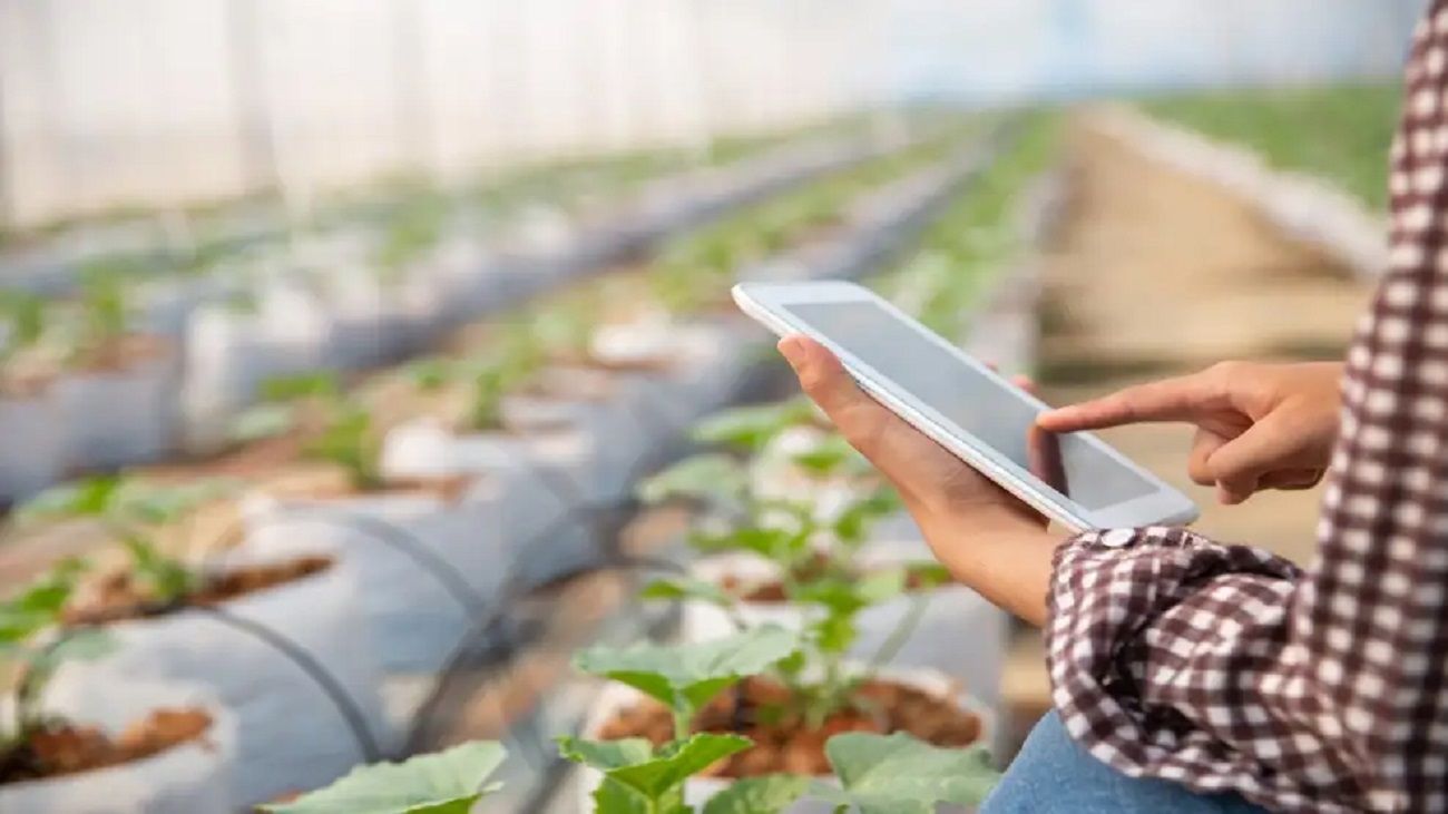 Mendoza: se incorporarán 300 antenas de Starlink con el fin de llevar acceso a internet a los productores