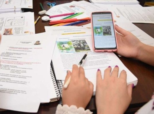 Clases virtuales: sólo 4 de cada 10 alumnos de barrios populares tienen Internet
