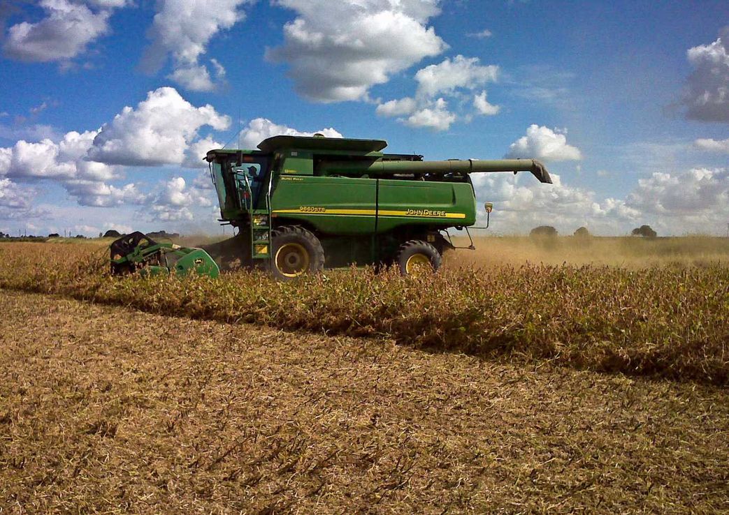 Para el campo, el dólar agro es "recaudatorio para engrosar las raquíticas reservas"