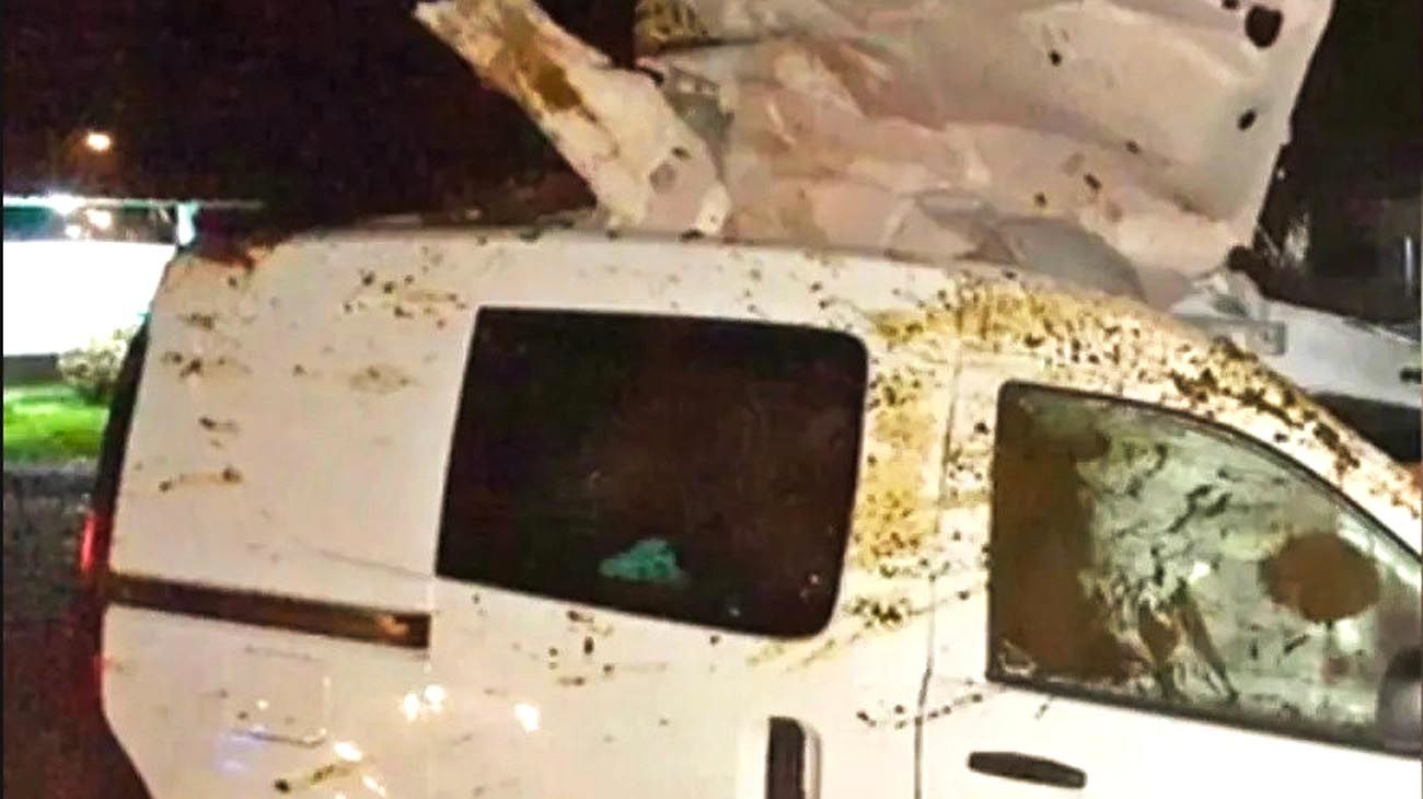 Una mujer chocó contra un caballo y quedó incrustado en su camioneta