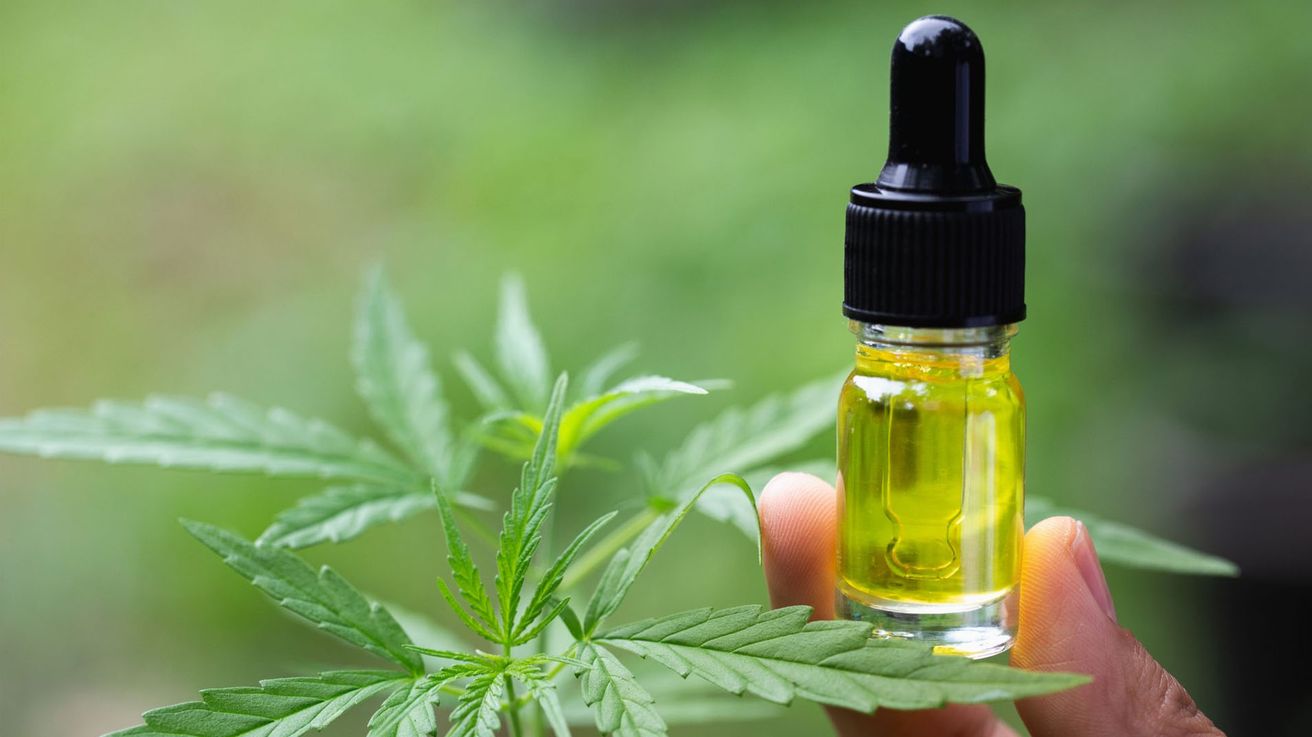 Todo lo que necesitas saber sobre el aceite de cannabis para una vida saludable