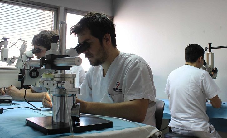 Más allá de las disciplinas