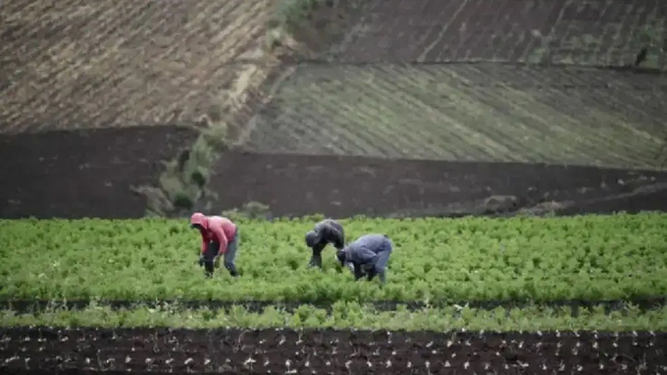 Financiamiento agropecuario: afirman que al productor “hoy no le conviene endeudarse”