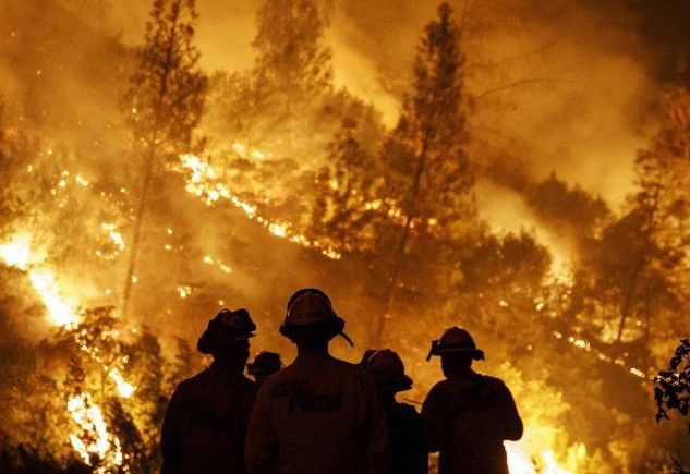 Ya van más de 400 mil hectáreas incendiadas desde que comenzó el año