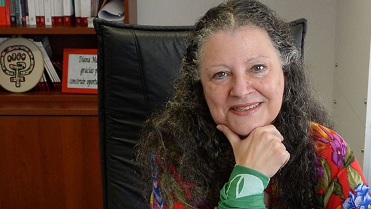 Diana Maffía: "El Gobierno y los mapuches tienen un concepto distinto sobre lo que es la propiedad"