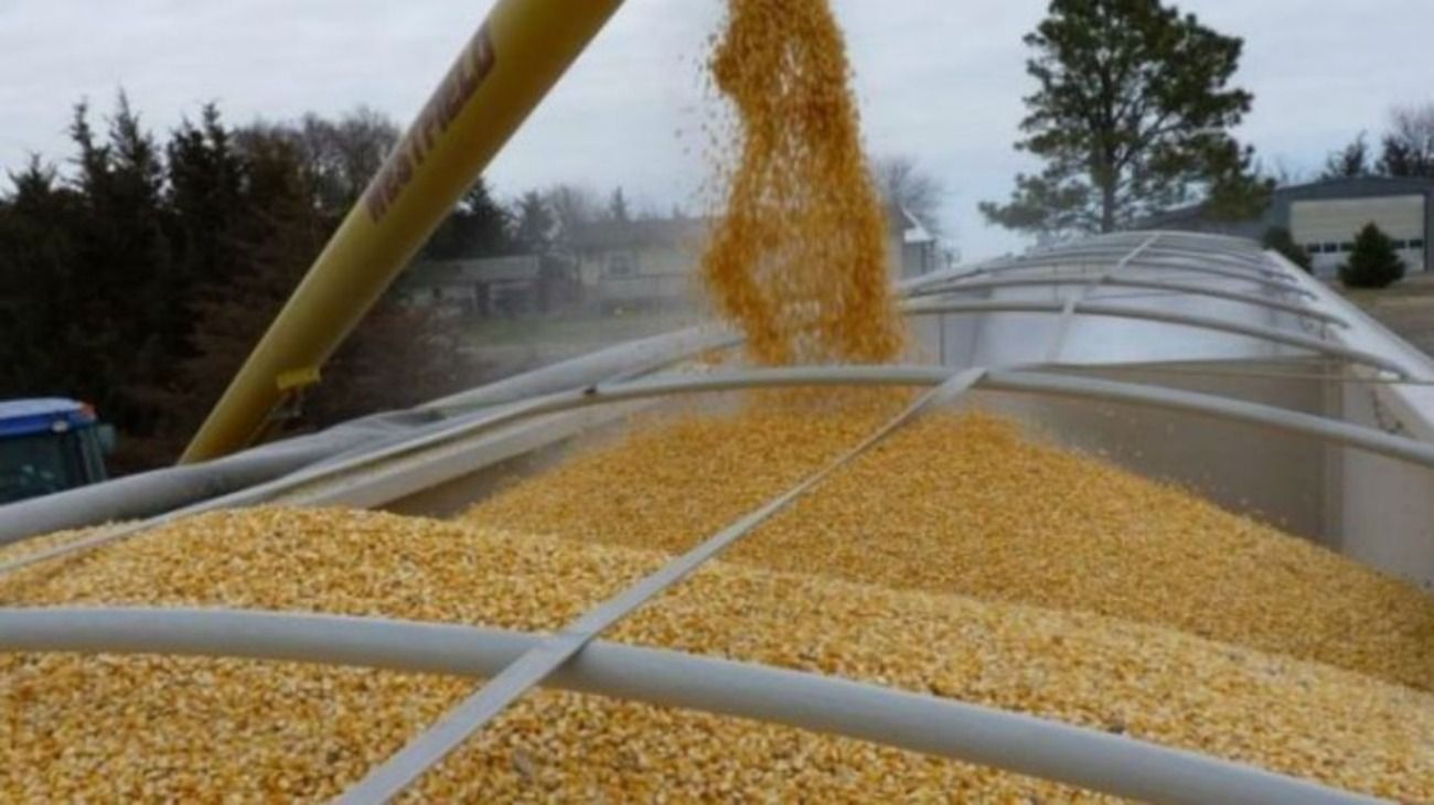 Operadores agrícolas en EEUU recurren a indicadores técnicos
