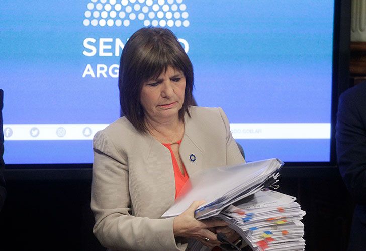 Bullrich ante el Senado: "No vamos a aceptar que nos comparen con la dictadura"
