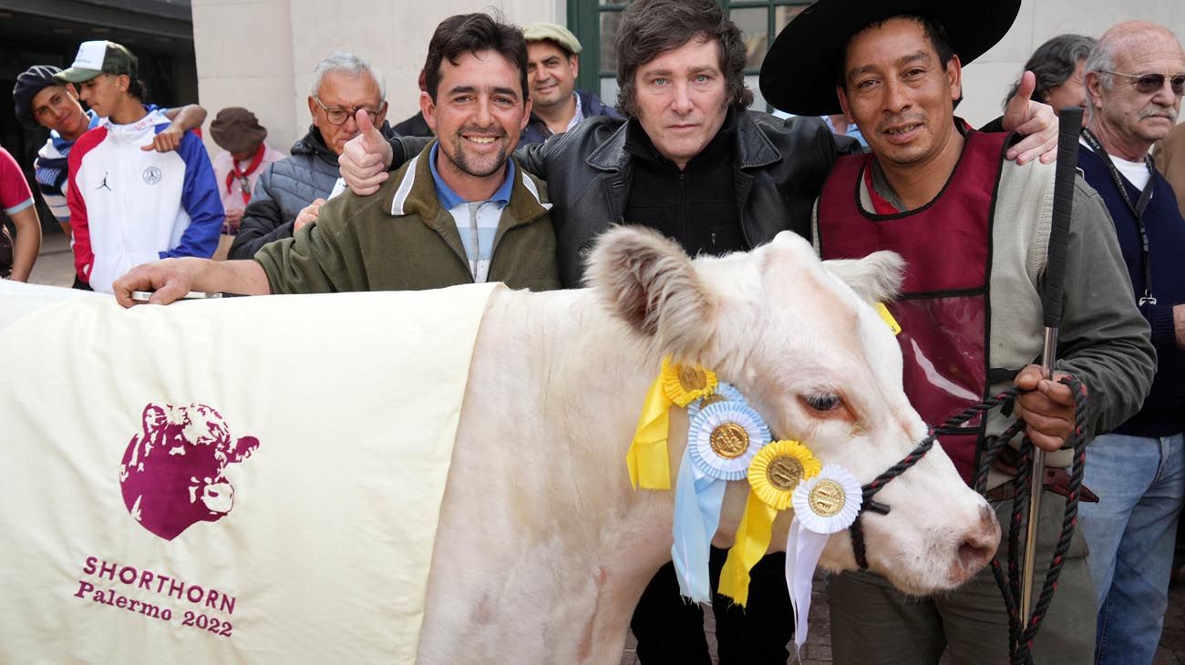 La reforma agraria de Javier Milei, punto por punto y bajo la lupa