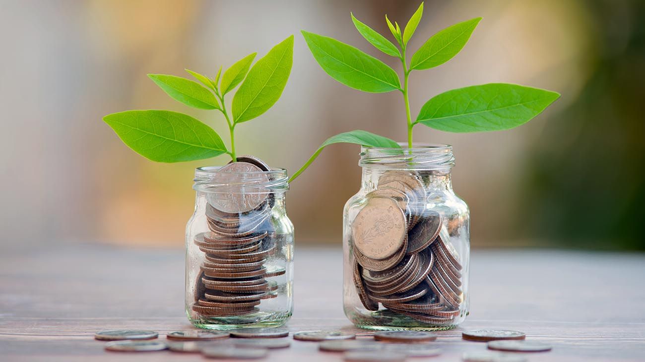 Los bonos verdes crecen como opciones de inversión en Argentina