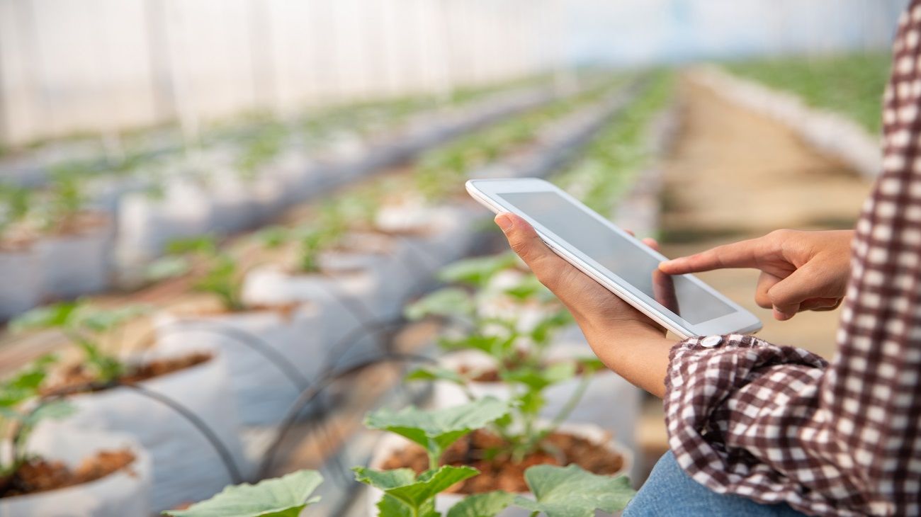 Cuáles son los nuevos desafíos que enfrenta la conectividad industrial en el ámbito agroindustrial