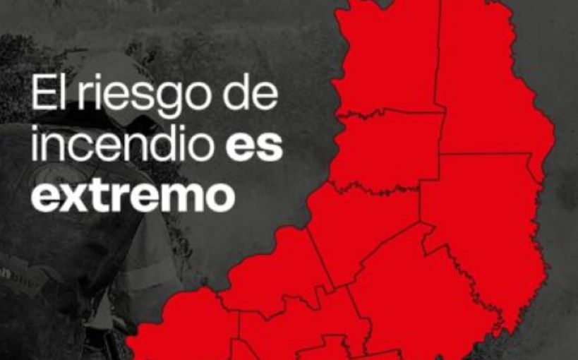 Misiones: el riesgo de incendios es extremo y el gobierno refuerza las medidas de prevención
