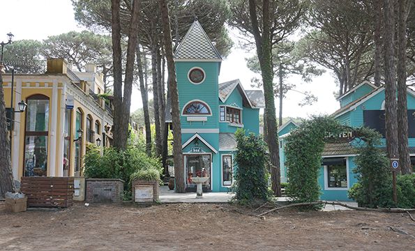 Todo exquisito y exclusivo, desde el bosque a la comida