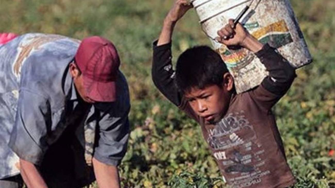 Chicos que trabajan: en poco más de un año, ya hay 9 millones más