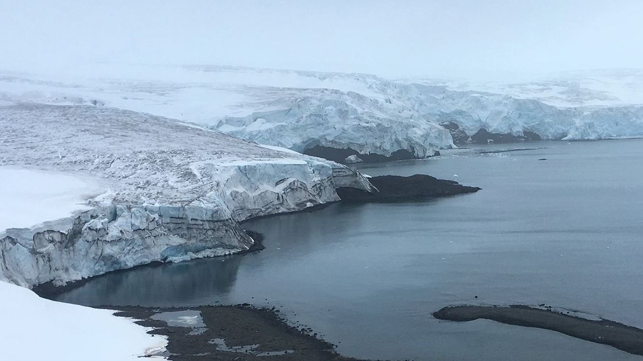 Antártida: descubren extrañas criaturas bajo 900 metros de hielo