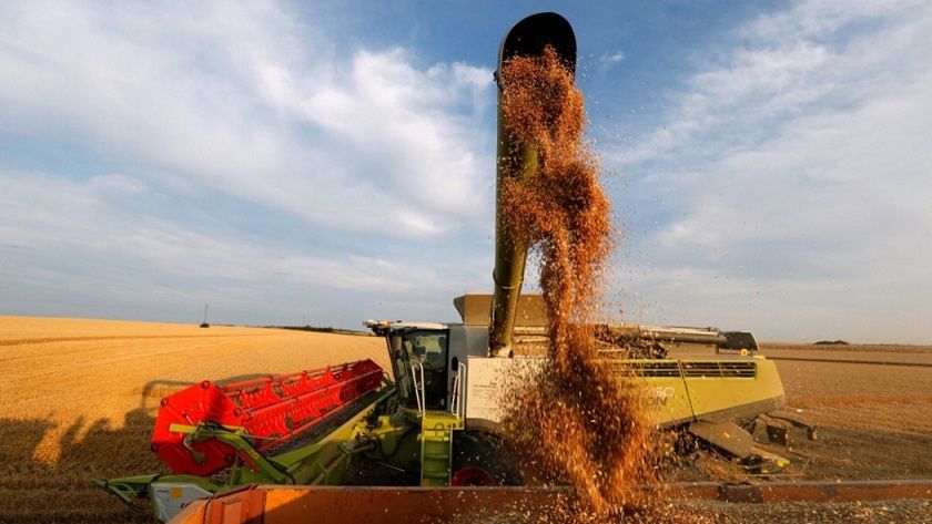 El precio de la soja sigue aumentando pero al productor argentino le queda 38%