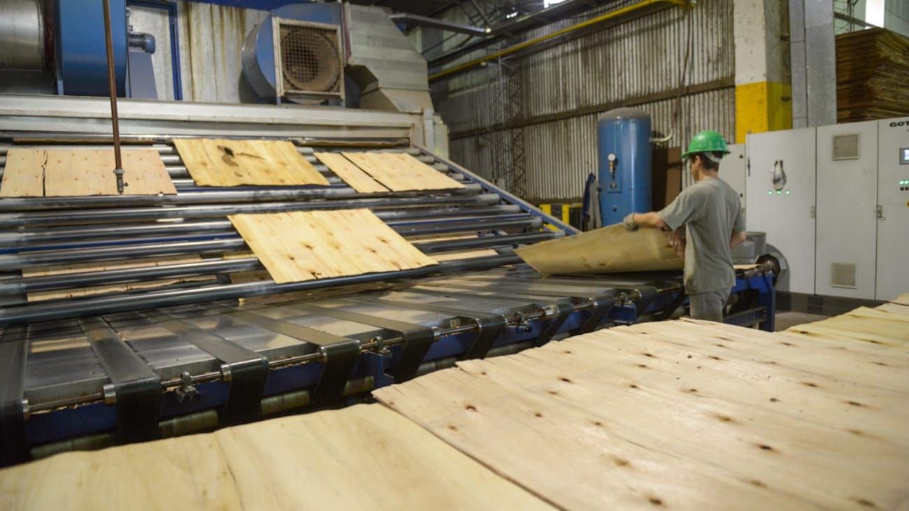 China redujo aranceles para productos de madera y estimula las exportaciones argentinas