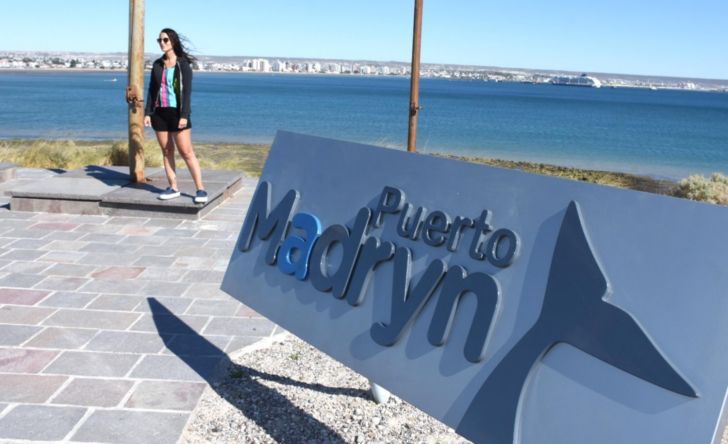 Verano en Puerto Madryn: elefantes y lobos marinos, pingüinos, estrellas y el mar como protagonistas