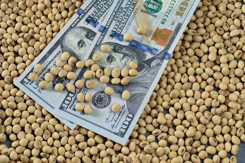 Todos los detalles de cómo funcionará el dólar soja 3