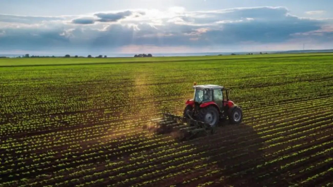 La actividad agropecuaria cerró un 2025 en niveles récord y creció más de 11% interanual