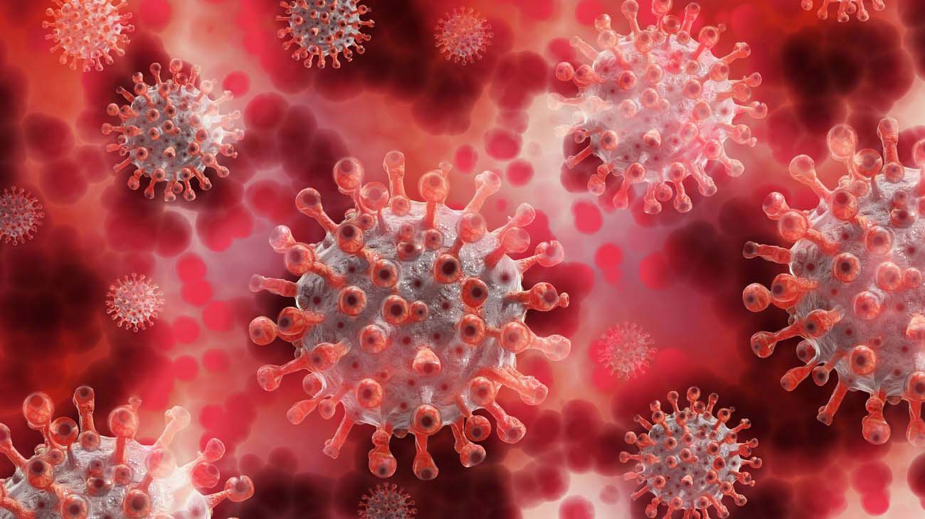 Pandemia: sin fecha exacta para finalizar