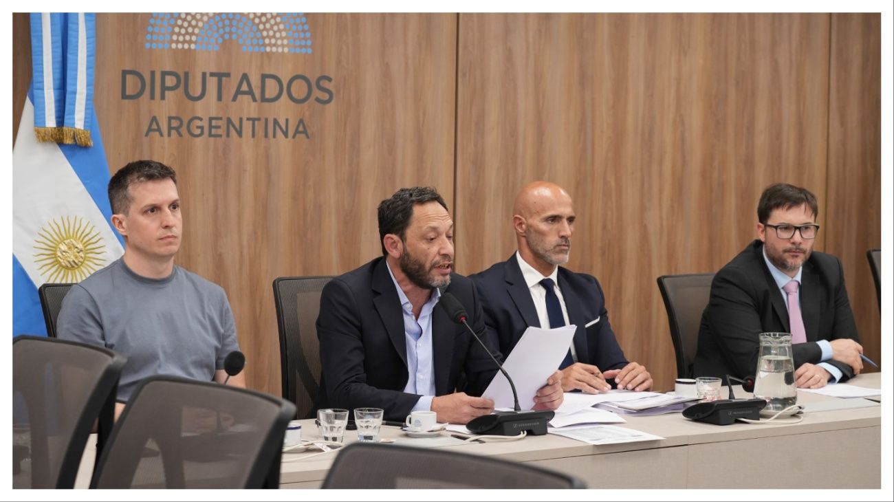 Julia Strada: “Comprobamos una presunta estafa y Milei tuvo una responsabilidad fundamental”