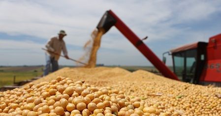 Fin del Fondo Sojero: ¿la excusa justa para abandonar el Consenso Fiscal?