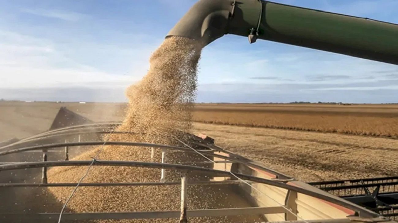 Soja: las estimaciones de producción podrían aumentar 1,5 millones de toneladas gracias a las lluvias