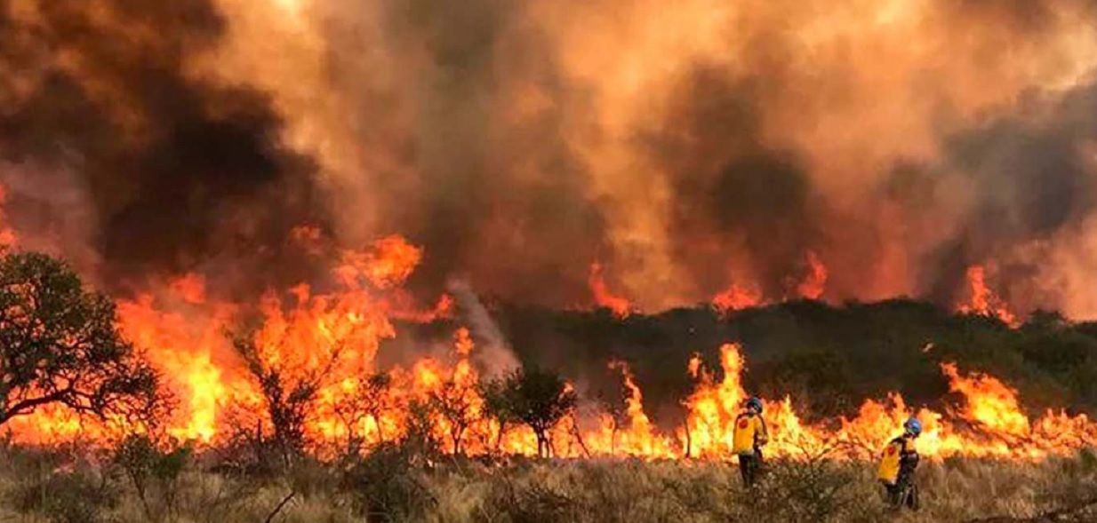 Incendios: la urgencia de invertir en prevención