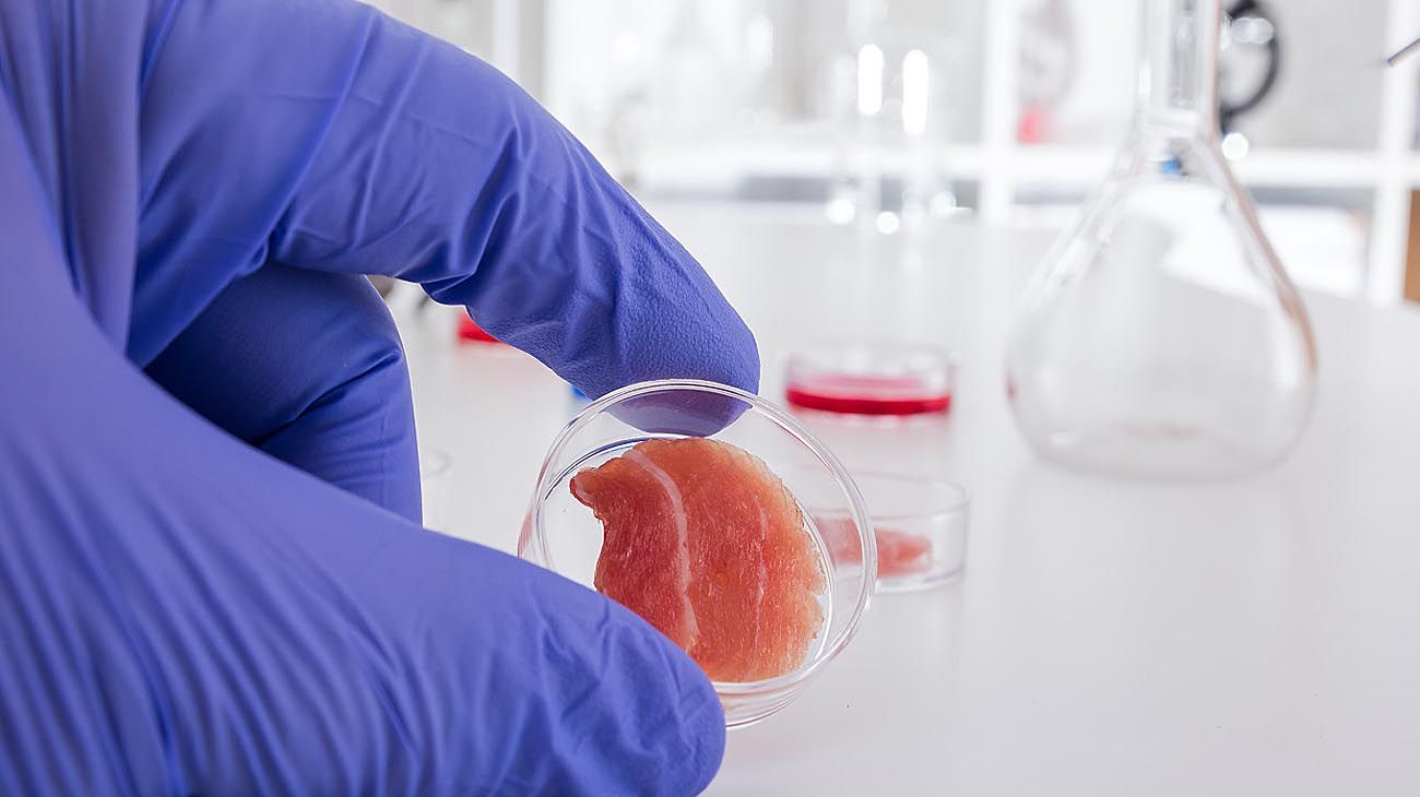 Científicas buscan crear en el país carne ‘in vitro’, para no matar animales