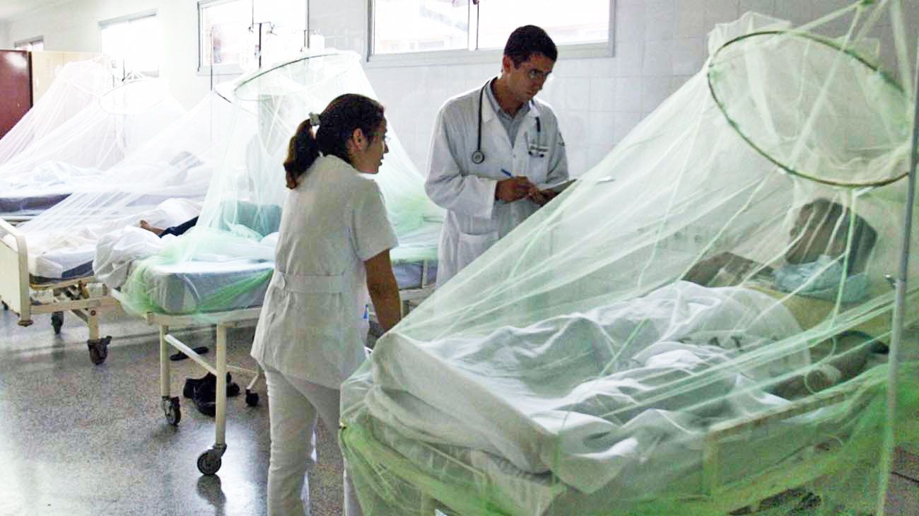 Dengue: crecen los casos y preocupa el predominio de un nuevo serotipo