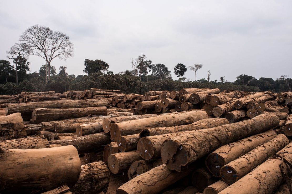 Las trece ciudades más violentas de Brasil están en la Amazonía