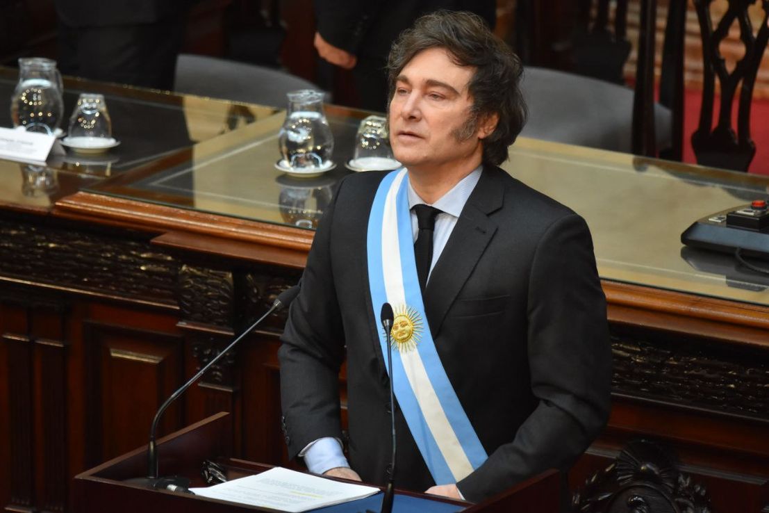 Leyes especiales orgánicas y veto presidencial