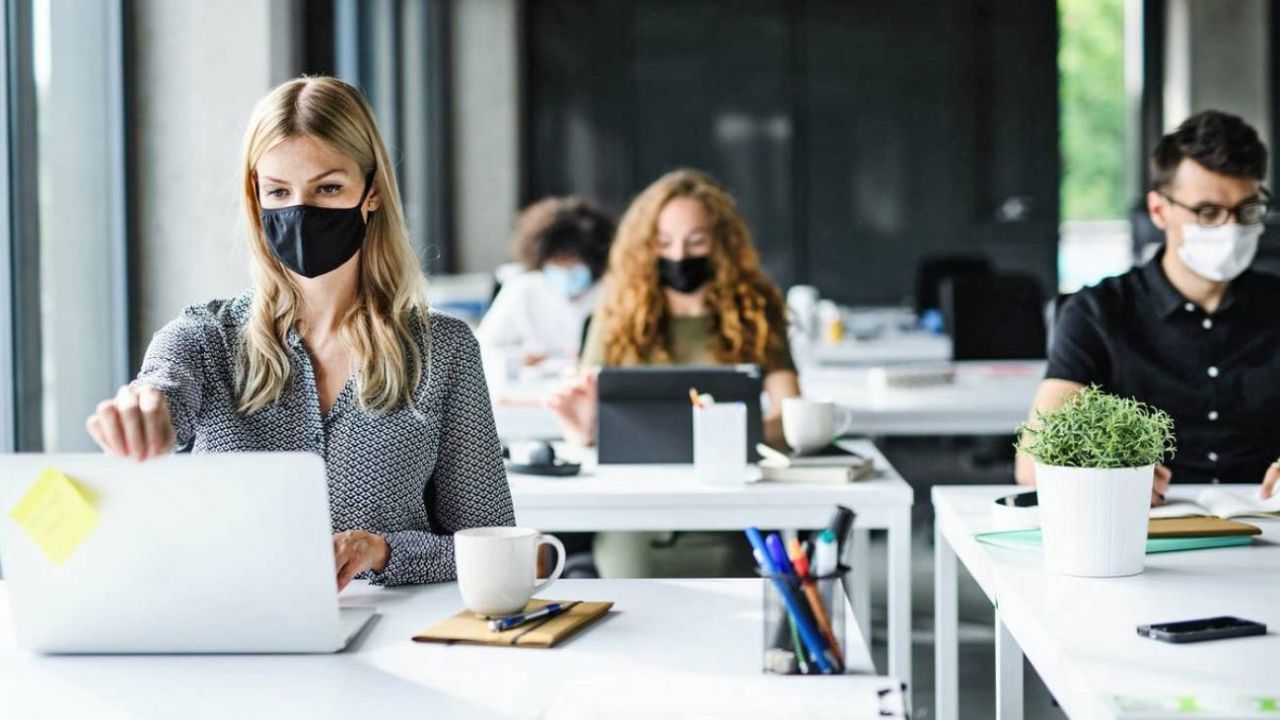 Mercado laboral: qué esperan y cuáles son las preocupaciones de los jóvenes profesionales
