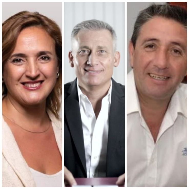 "A la UCR la manejan nueve personas y así no se gana una elección"